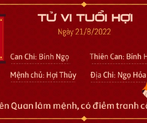 Tử vi Chủ Nhật ngày 21/08/2022 của 12 con giáp: Tí may mắn tiền bạc, Hợi đền phòng bị lừa gạt dẫn đến phá sản
