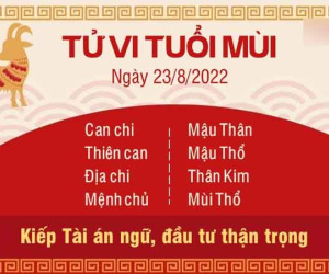 Tử vi thứ 3 ngày 23/08/2022 của 12 con giáp: Mùi đầu tư thận trọng, Ngọ tự tin phát huy