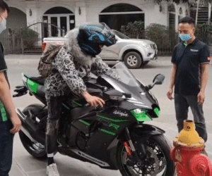 Kẻ nổ súng cướp ngân hàng hơn 3,5 tỉ đồng rồi đi mua xe phân khối lớn lĩnh án