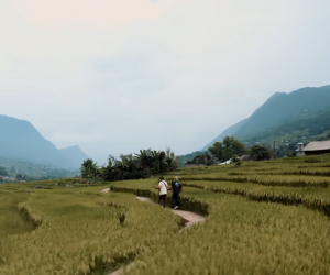 Sa Pa đẹp hùng vĩ trong MV của ban nhạc The Moffatts