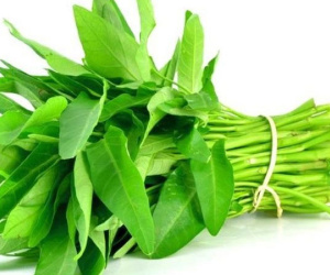 Ai cũng từng ăn rau muống, nhưng ít người biết những ‘đại kỵ’ khi ăn có thể gây hại thận, ngộ độc