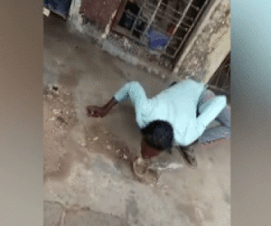 Video: Cố tình hôn rắn hổ mang, người đàn ông nhận cái kết kinh hoàng