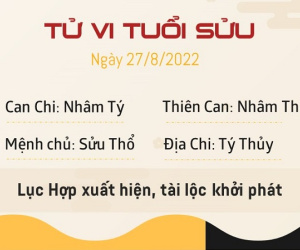 Tử vi Thứ Bảy ngày 27/08/2022 của 12 con giáp: Sửu may mắn tiền bạc, Mão cần thận trọng