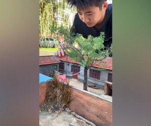 Độc đáo với mô hình 'ngôi nhà thời thơ ấu' sống động như thật