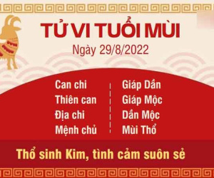 Tử vi thứ 2 ngày 29/08/2022 của 12 con giáp: Sửu tài chính dư dả, Tị dễ gây mất lòng