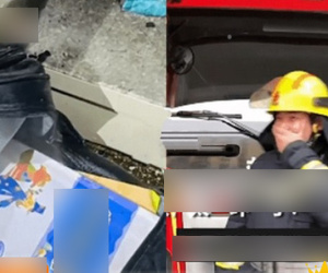 Cậu bé ném cặp sách vào biển lửa 'phi tang' để khỏi phải làm bài tập về nhà, 'chẳng may' lại bị lính cứu hỏa 'cứu ra' toàn vẹn: 'Anh cứu nhà em nhưng hại em rồi!'