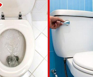 Nên đóng hay mở nắp bồn cầu sau khi dùng? Câu trả lời khiến nhiều người phải thay đổi ngay thói quen thường ngày