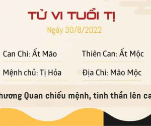 Tử vi thứ 3 ngày 30/08/2022 của 12 con giáp: Thìn bị tiểu nhân quấy phá, Dần quý nhân soi đường