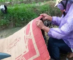 Hải Phòng: 2 người thương vong do sét đánh
