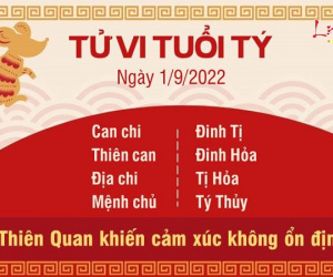 Tử vi thứ 5 ngày 01/09/2022 của 12 con giáp: Tý đề phòng vạ miệng, Mão đón tài lộc