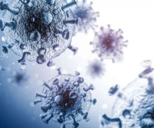 Tìm ra loại siêu kháng thể có thể vô hiệu hóa HIV