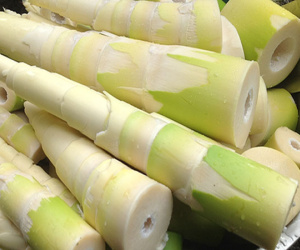 Điểm mặt các thực phẩm chứa chất cực độc, là ‘sát thủ’ thầm lặng trong nhà bếp ít ai chú ý