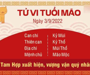 Tử vi thứ 7 ngày 03/09/2022 của 12 con giáp: Ngọ vận trình thuận lợi, Tý mọi việc rối ren