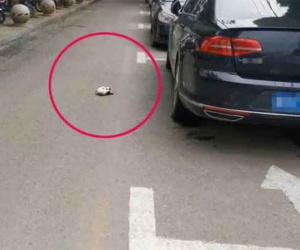 Dù có tiền hay không, ra đường cũng không nhặt được 4 thứ này, chớ coi thường kẻo phải hối hận
