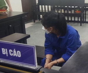 Người đàn bà 'chơi lớn' khi giả danh cán bộ Văn phòng Chính phủ để lừa đảo