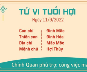 Tử vi Chủ Nhật ngày 11/09/2022 của 12 con giáp: Dậu đề phòng mất tiền oan, Hợi đón tài lộc