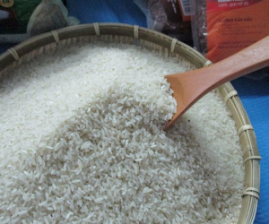 Gạo sẽ tăng giá mạnh từ động thái bất ngờ của Ấn Độ?