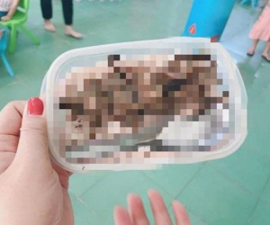 Bức ảnh 'học sinh mang cơm với thịt chuột' được chụp từ 3 năm trước