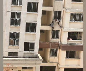 Clip: Người đàn ông khiếm thính 'nhanh như cắt' giải cứu cụ già bị treo ngoài cửa sổ tầng 4
