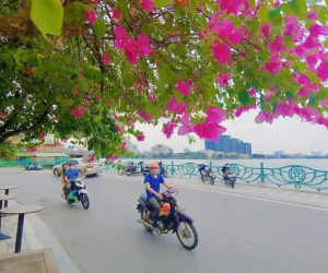 Ảnh minh họa