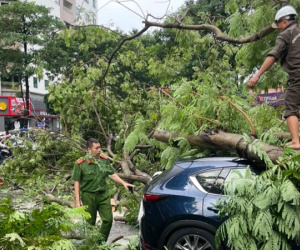Hà Nội mưa chưa đầy 30 phút, cây đã đổ đè ôtô và ngập