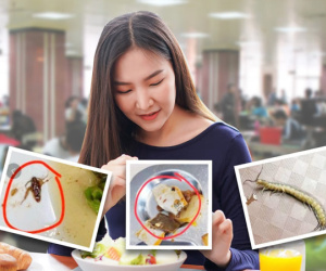 Nhà bếp của địa ngục: Trường đại học ở Trung Quốc gây phẫn nộ vì bị bóc phốt thực phẩm bẩn trong căng tin
