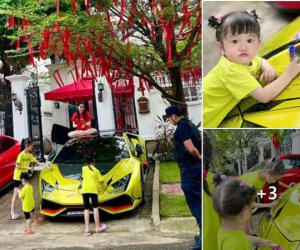 Bị netizen phê phán khi 'nối giáo cho giặc' phá siêu xe bạc tỷ của đại gia Quốc Vũ, Đoàn Di Băng phản pháo cực gắt