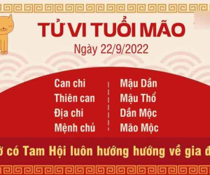 Tử vi thứ 5 ngày 22/09/2022 của 12 con giáp: Hợi có lợi, Tý cẩn thận đầu tư
