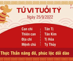 Tử vi Chủ Nhật ngày 25/09/2022 của 12 con giáp: Tí đón tài lộc, Ngọ đề phòng kiện tụng