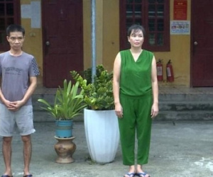 Ảnh minh họa