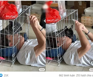 Ỏng eo ghét thú cưng leo lên giường nhưng khi mua chó về thanh niên chui hẳn vào chuồng tâm sự cùng chó