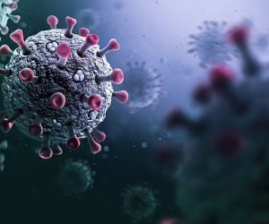 Giới khoa học cảnh báo virus giống corona 'có thể sẽ lây sang người'