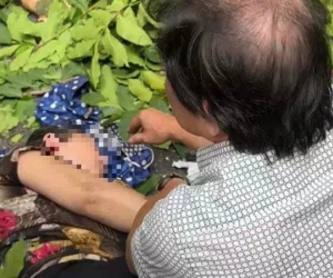 Hà Nội: Cây cổ thụ ở phố Hàng Mã đổ đè trúng người phụ nữ đi đường