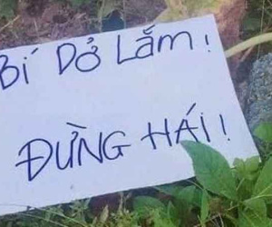 Treo biển 'chống trộm' bí, người trồng nhận lại hồi đáp 'dở khóc dở cười'