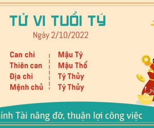 Tử vi Chủ Nhật ngày 02/10/2022 của 12 con giáp: Tý được Chính Tài nâng đỡ, Sửu đề phòng kẻ xấu