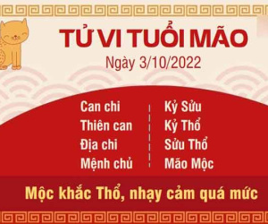 Tử vi thứ 2 ngày 03/10/2022 của 12 con giáp: Hợi thuận lợi, Sửu vướng rắc rối