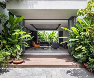 5 loại cây trồng trước nhà nghèo khổ, trồng sau nhà thì giàu có