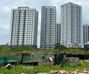Chủ tịch Hà Nội Trần Sỹ Thanh quyết 'đòi' đất bỏ hoang để xây trường học