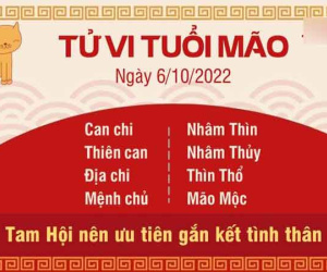 Tử vi thứ 5 ngày 06/10/2022 của 12 con giáp: Hợi áp lực, Mùi có tin mừng