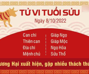 Tử vi thứ 7 ngày 08/10/2022 của 12 con giáp: Dậu gặp rắc rối, Thìn có cơ hội làm ăn
