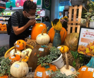 Bí ngô tiền triệu chưa đến Halloween đã 'cháy' hàng