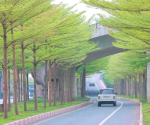 Hà Nội đưa Gia Lâm, Đông Anh lên quận vào năm 2023