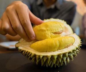 Thời điểm thèm đến mấy cũng không nên ăn sầu riêng, lưu ý để tránh hậu quả khôn lường