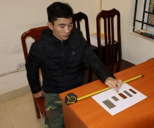 Ảnh minh họa