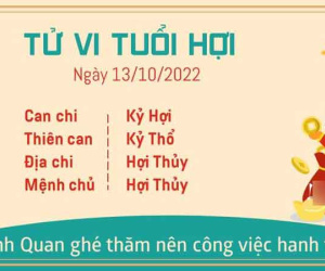 Tử vi thứ 5 ngày 13/10/2022 của 12 con giáp: Hợi hanh thông, Thìn không như mong đợi