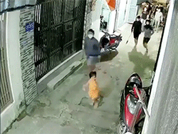 Bé gái lạc lõng giữa rừng phóng lợn đâm chém, diễn biến tiếp theo khiến dân mạng thở phào