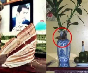 4 dấu hiệu phá tài trong phong thủy, sửa ngay kẻo tiền chạy khỏi ví