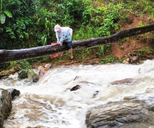 Hãi hùng, xót xa cảnh thầy cô giáo vùng cao Quảng Nam bám thân cây vượt lũ dữ