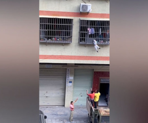 Kinh hoàng bé trai bị treo cổ lủng lẳng trong chuồng cọp được người dân giải cứu