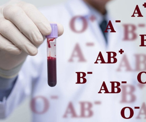 Nhóm máu có quyết định tuổi thọ không? A, B, O hay AB dễ mắc bệnh ung thư hơn?